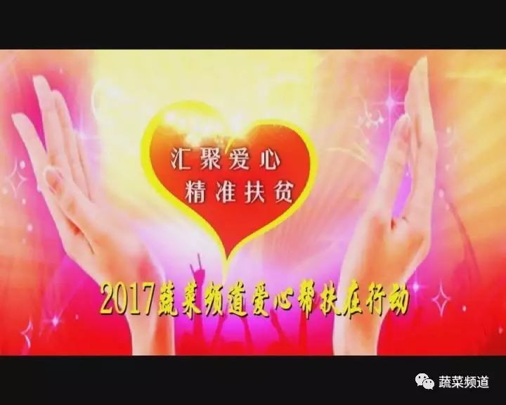 汇聚爱心 精准扶贫，给贫困菜农送福利！(图1)