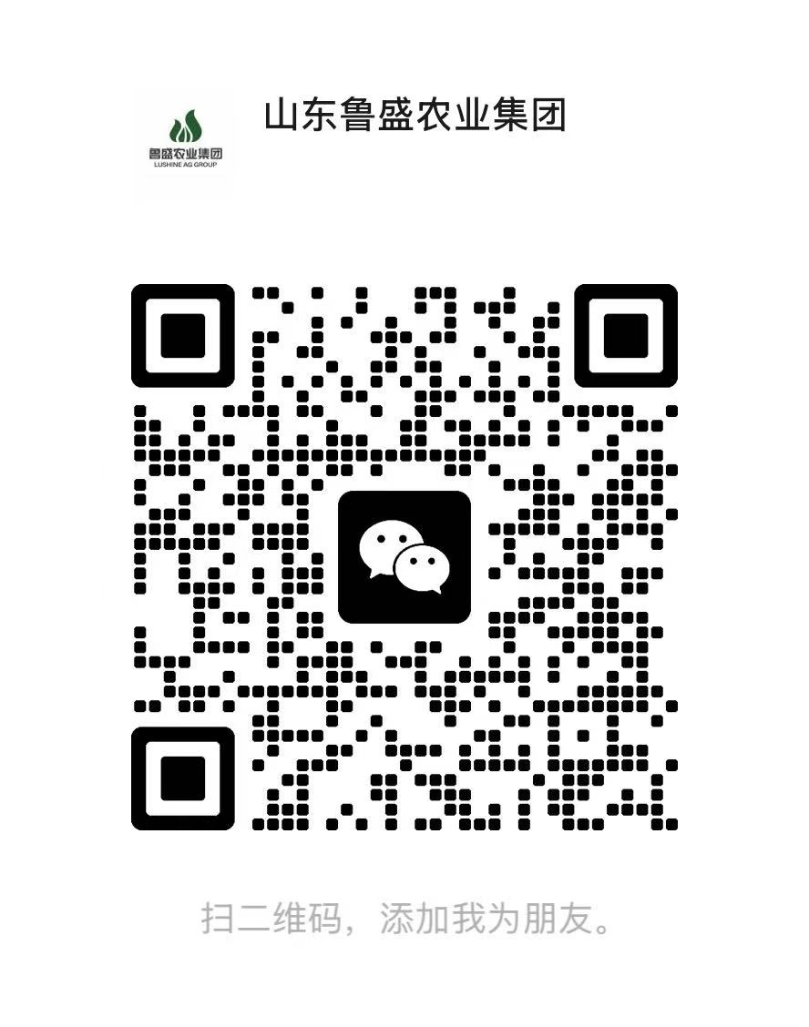 山东鲁盛农业集团企业微信二维码