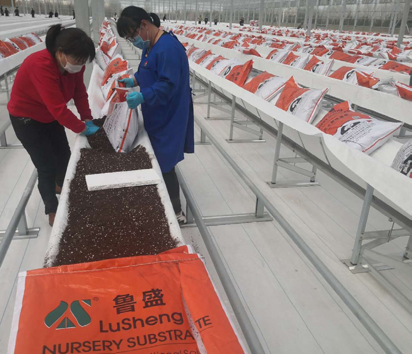 基质研发试验